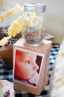 Baby-Farm-Themed-Baby-Sprinkle