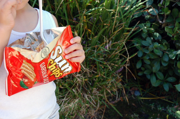 meal in a bag recipe from sun chips