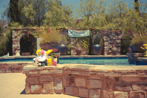 A pool in a backyard area decorated with neon and neutral party decorations.
