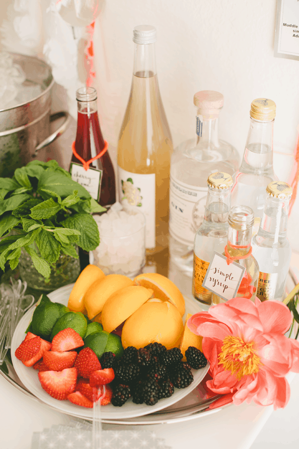 gin and tonic bar for cocktail party