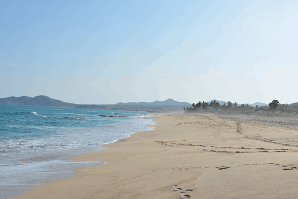 beach in los cabos, mexico