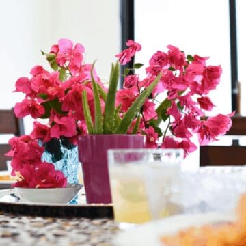 Close up of pink bouganvillea next to an aloe plant on a table.