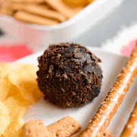 A close up of a cookie ball on a plate with potato chips, pretzel rods and graham sticks.