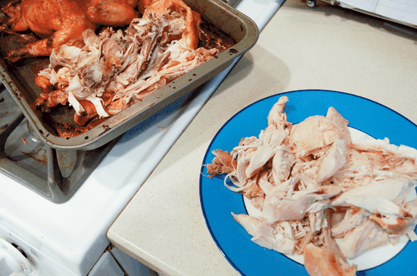 Chicken being pulled from the bone for several meals. 