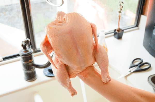 Woman holding a cleaned whole chicken ready for roasting.