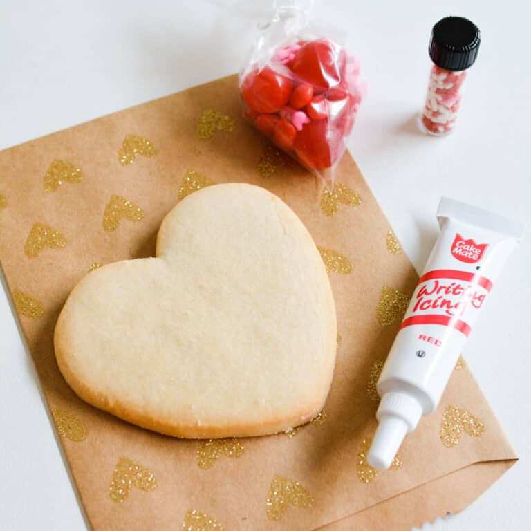 Close up of an undecorated cookie on top of a small bag with sprinkles, icing and candy.