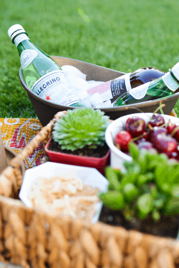 Succulents transport well and are really great for decorating picnics. Also, wine. You should always serve wine. #sponsored #naturallyamazing @frenchsfoods // www.cupcakesandcutlery.com