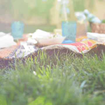 Ideas to host the perfect picnic whether it's for friends or family.