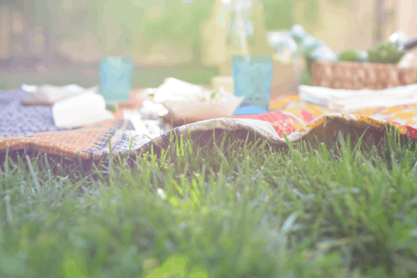 vintage-blanket-and-grass-picnic