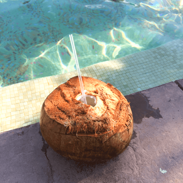 Coconut drinks by the pool at Villa del Palmar Loreto. #VDPLFam #villadelpalmarl // www.cupcakesandcutlery.com