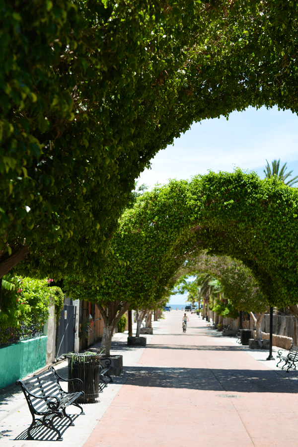The quiet Mexican town of Loreto. 