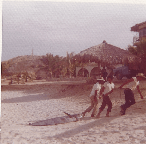 Fishing in Loreto, Mexico. 