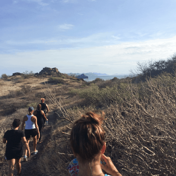 Nature hike on the property of Villa del Palmar Loreto. 