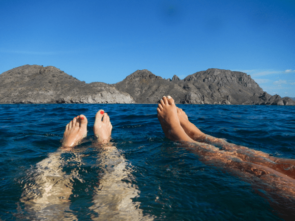 Swimming in the Sea of Cortez around the islands of Loreto, Mexico. #VDPLFAM #VillaDelPalMarL // www.cupcakesandcutlery.com