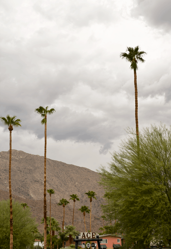 Rainy weather in Palm Springs.