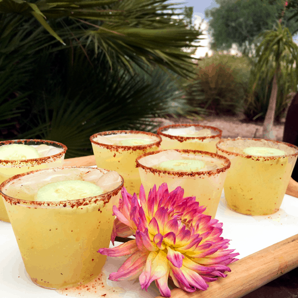 Cucumber margaritas in Palm Springs. #campmixalot. // cupcakesandcutlery.com