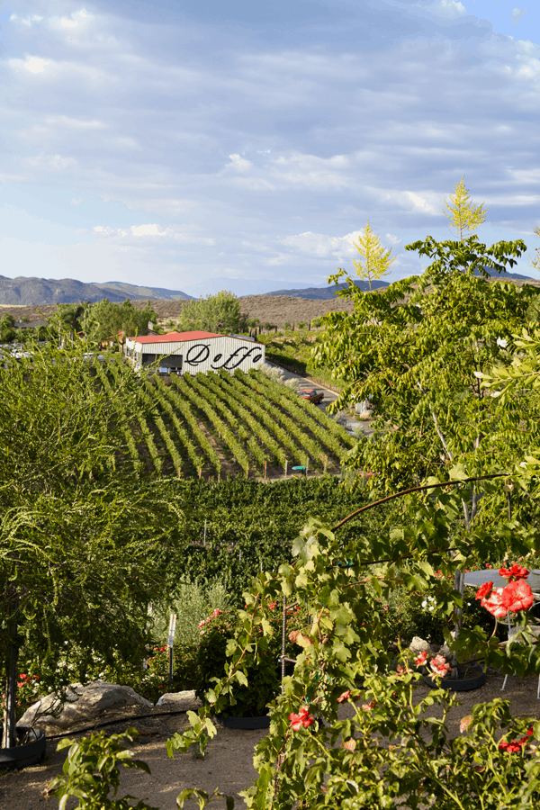 Doffo Winery with gorgeous views and fantastic staff! #temecula
