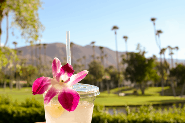 Margaritas in Palm Springs. 