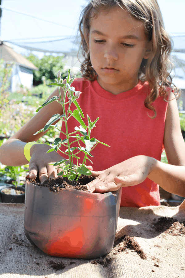 Kid patting dirt around a plant in a make your own planter.