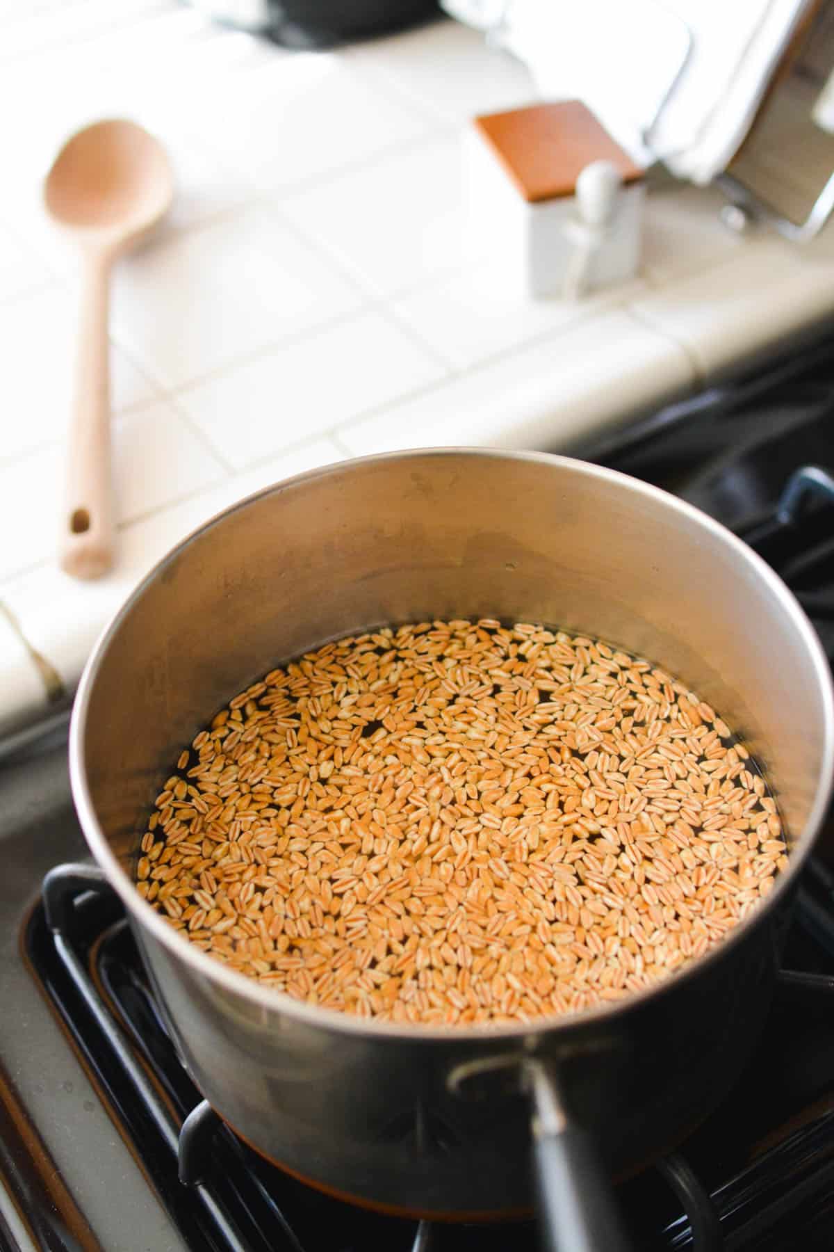 Farro cooking in a pot on the stove.