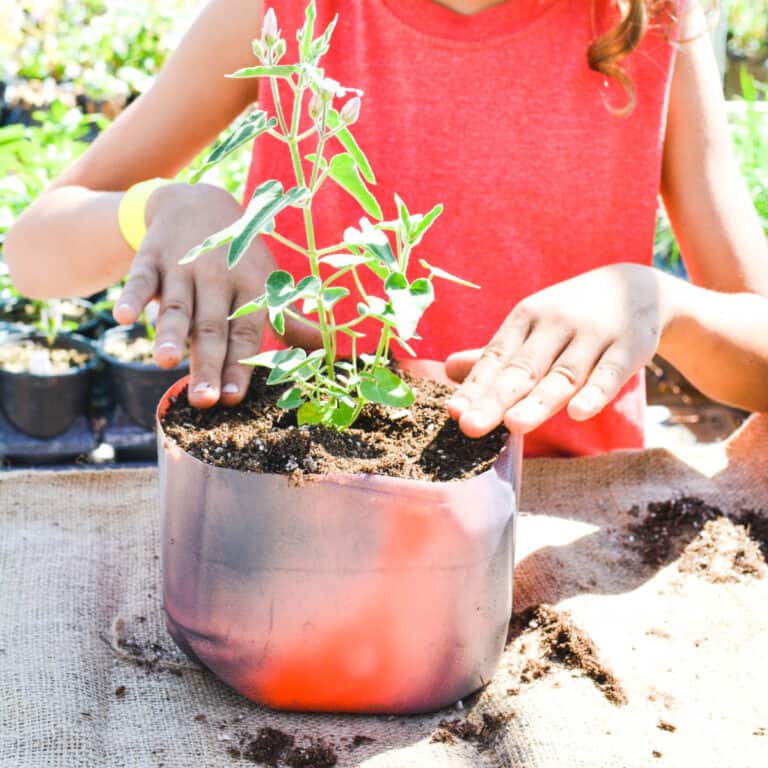 DIY Upcycled Milk Jug Planters