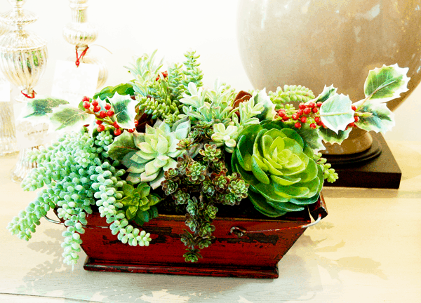 Succulent centerpiece idea for your holiday decorating