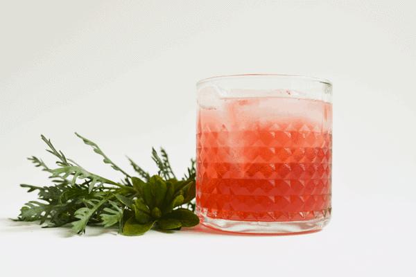 Spiced Cranberry Bourbon Cocktail Recipe.