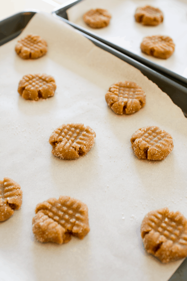 Sunbutter cookie batter on cookie sheets.