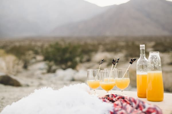 Champagne Punch in bottles and glasses on a rock for an outdoor party.