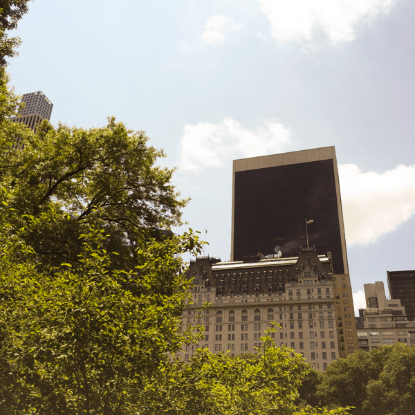 Movie and TV tour of Central Park. @Netflix #StreamTeamUKS #StreamTeam #partner