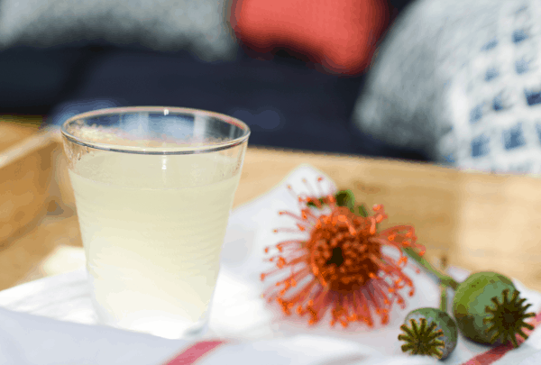 A Corpse Reviver No. 2. on a tray next to some plants. 