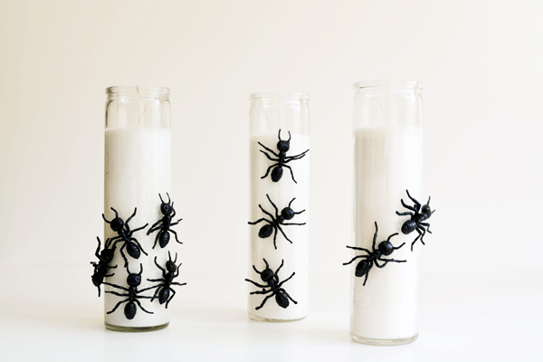 Simple homemade Halloween candles will have you feeling creepy with plastic bugs.