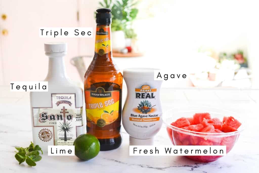 Labeled ingredients to make watermelon margarita with fresh fruit.