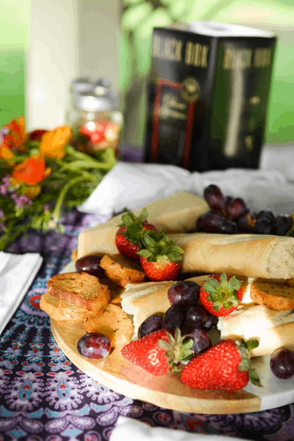 Close up of a small cheese tray for a park party.