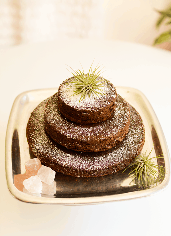 A birthday cake made from a brownie mix on a silver cake plate, surrounded by air plants and decorative stones.