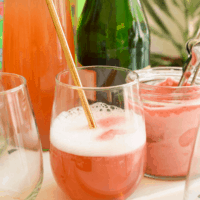 Make a champagne float for your next girls night in! It's so easy to make and super refreshing. This will be perfect for all those warm summer nights with friends!