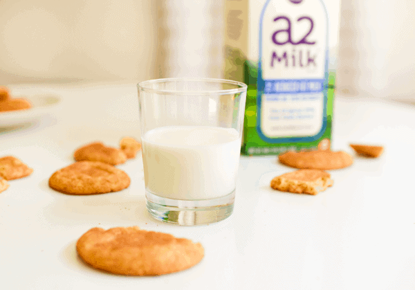 A glass of milk on a table surrounded by Snickerdoodles infused with orange zest. 