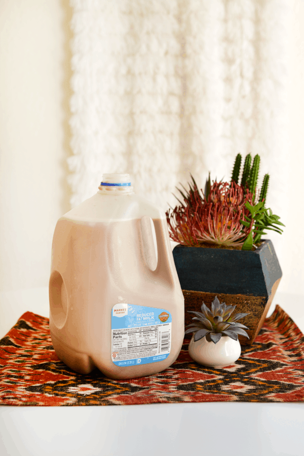 Large batch white russian cocktail in a milk jug next to two succulents.