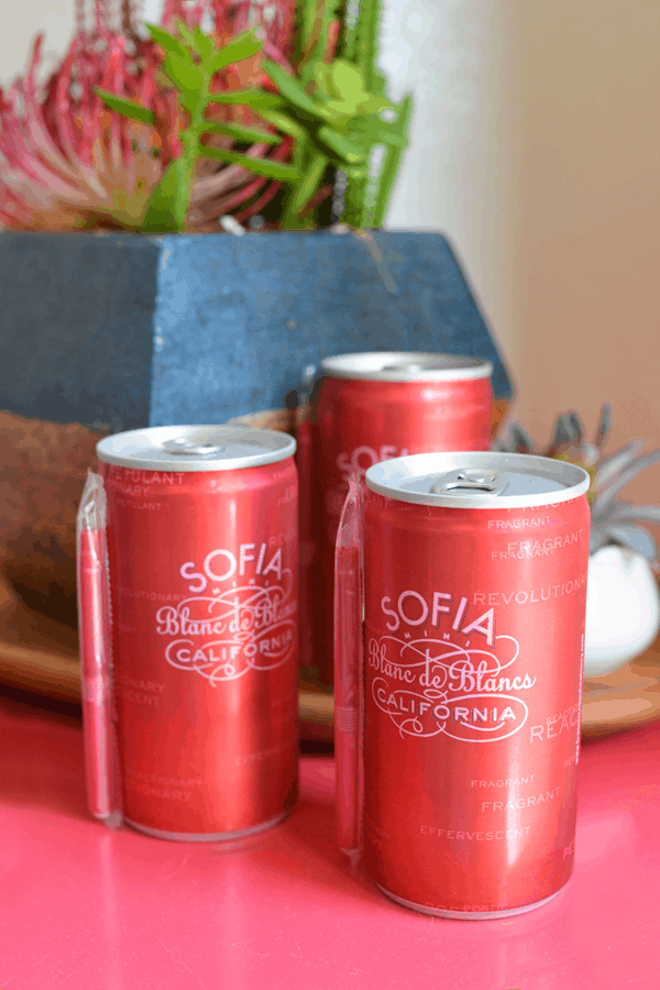 Can wine might sound crazy to you but I know you'll love the ones that I've featured in my guide to the best canned wines.