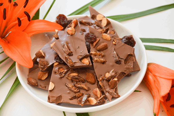 Freak out your kids with this chocolate bark featuring edible crickets! They taste like sunflower seeds and are full of protein. Not something you'd find on top of a candy bar usually! 