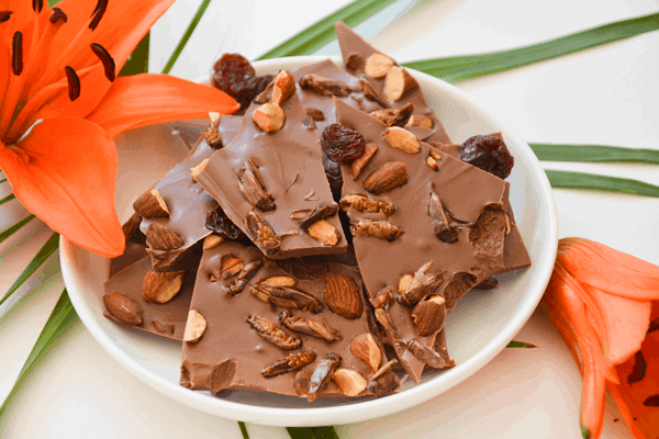 Chocolate bark featuring edible crickets.