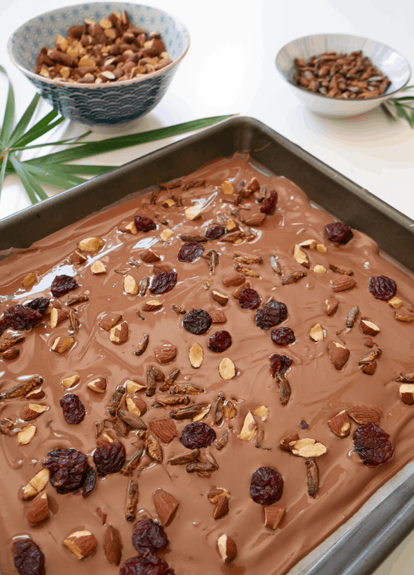 Chocolate bark with roasted edible crickets, dried cherries and roasted almonds. It makes a great Halloween party dessert idea! 