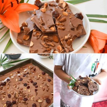 A Chocolate bark recipe with edible roasted crickets.