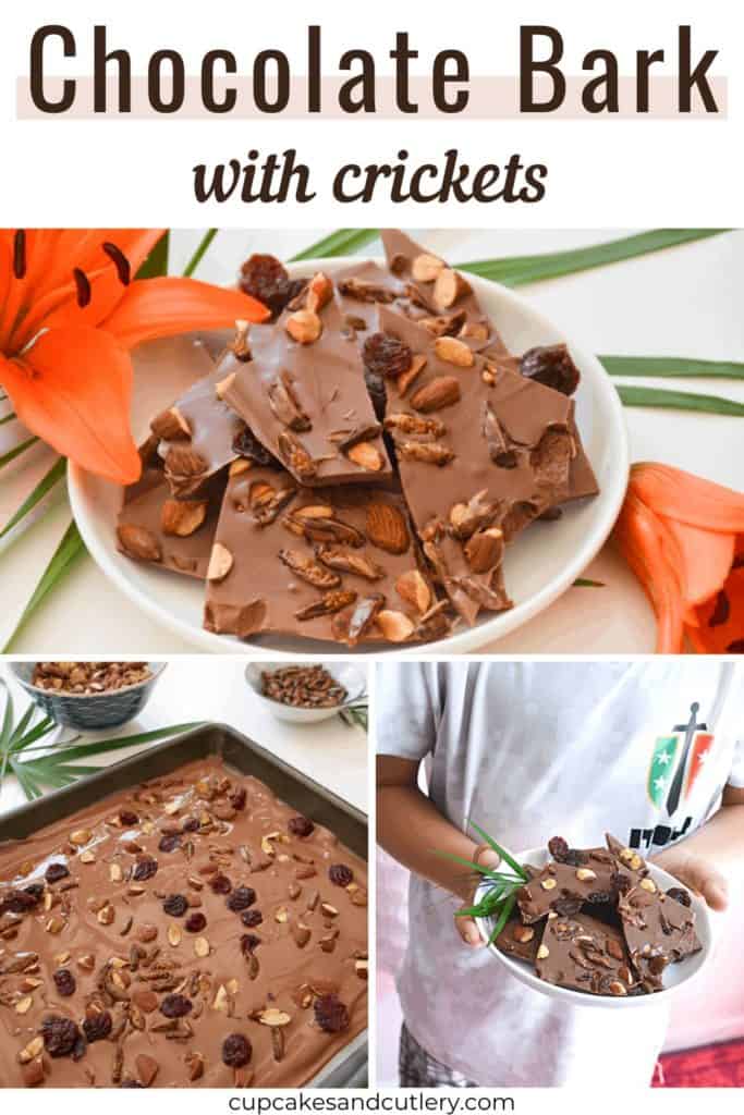 Chocolate bark with crickets.