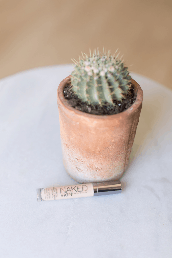 A small potted cactus on a table with a concealer sitting next to it. 