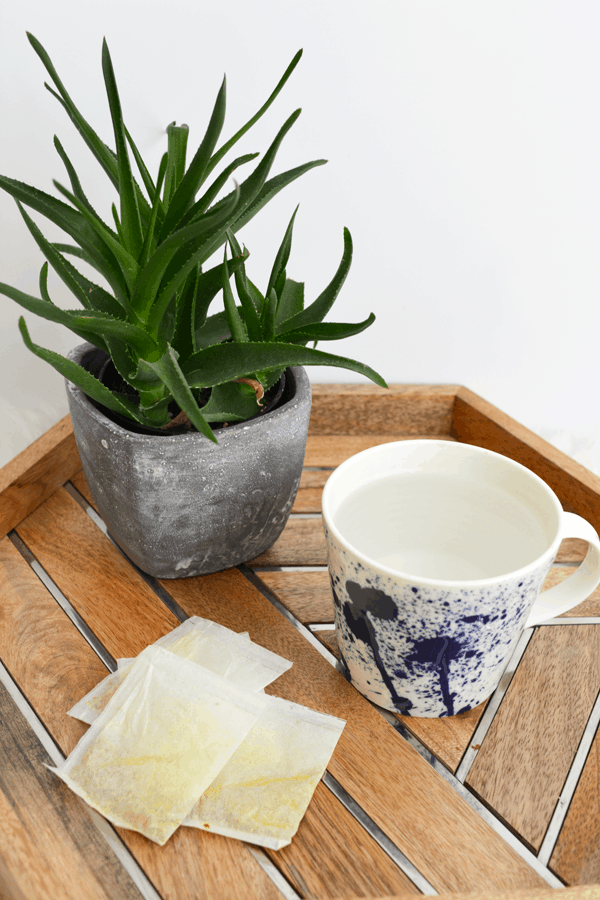 Herbal tea sachets, a mug with hot water and an aloe plant on a tray.