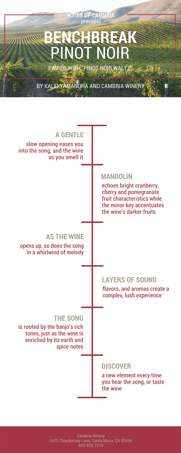 Simple Red Wine Timeline - Infographic