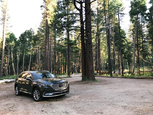 A 2017 Mazda cx 9 review.