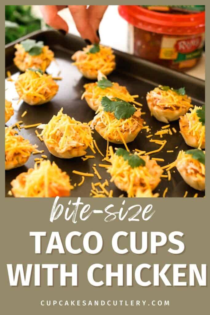 Close up of phyllo cups filled with shredded chicken and cheese and topped with cilantro.