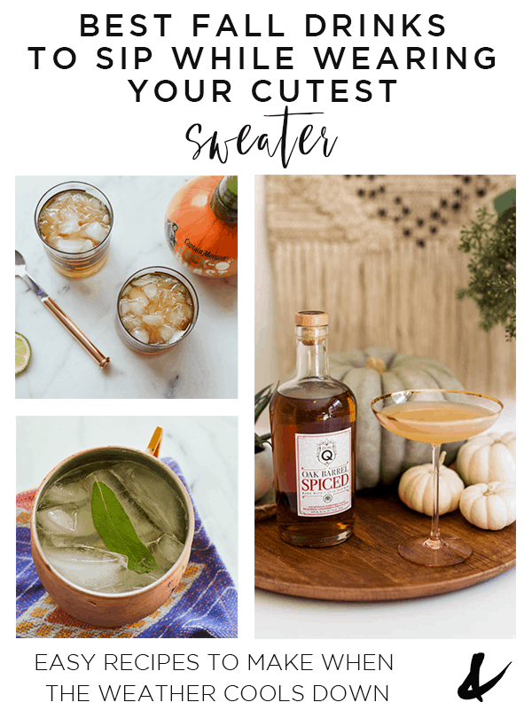 Fall cocktails and drink ideas with text ovelay